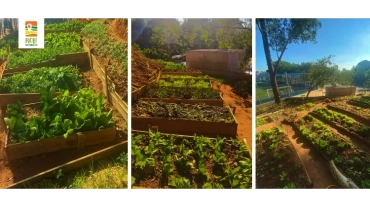 Horta Lelê Legal | Campo Limpo | RP-UPSR- 0085 